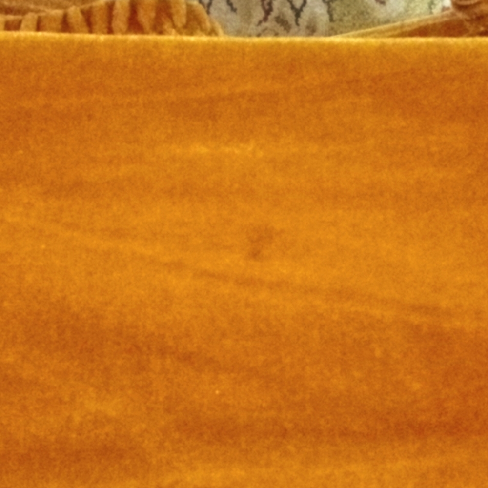 NWT VELVET PANTS - Picture 4 of 4